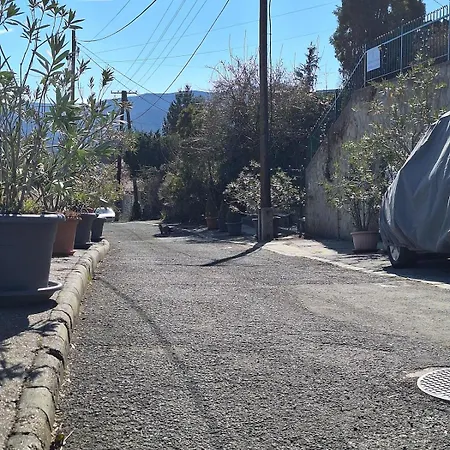 Heart House Sziv Haz * 大毛罗什